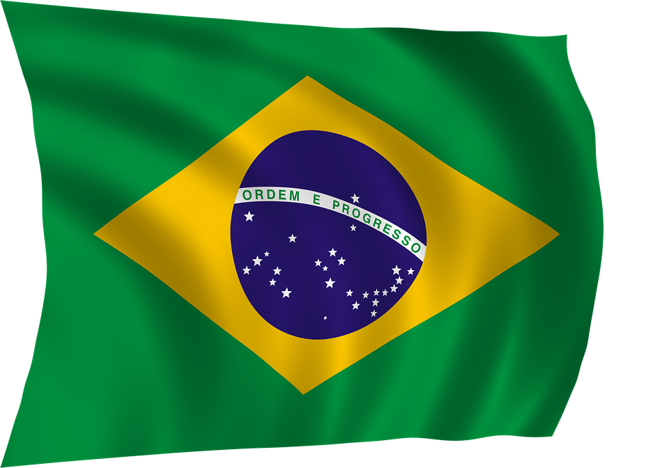Masterpiece Precision: Made in Brazil Culinary Knife