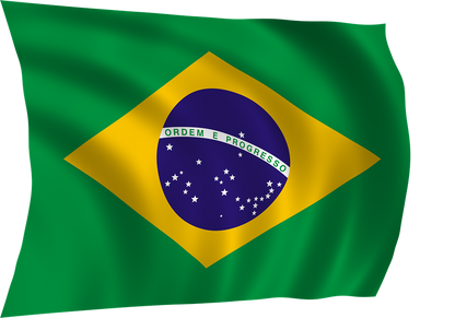 Masterpiece Precision: Made in Brazil Culinary Knife